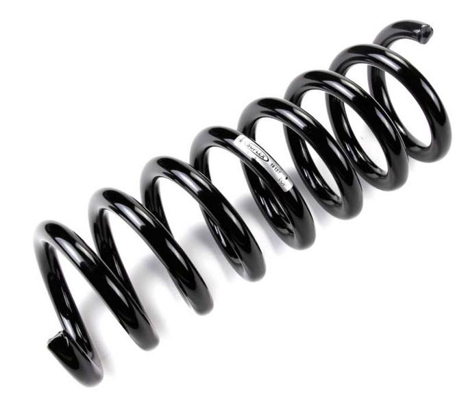 Mercedes Coil Spring - Rear 2103241704